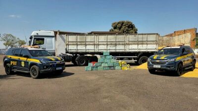 Imagem da notícia PRF apreende mais de 450 kg de drogas escondidas em caminhão de milho em Três Lagoas